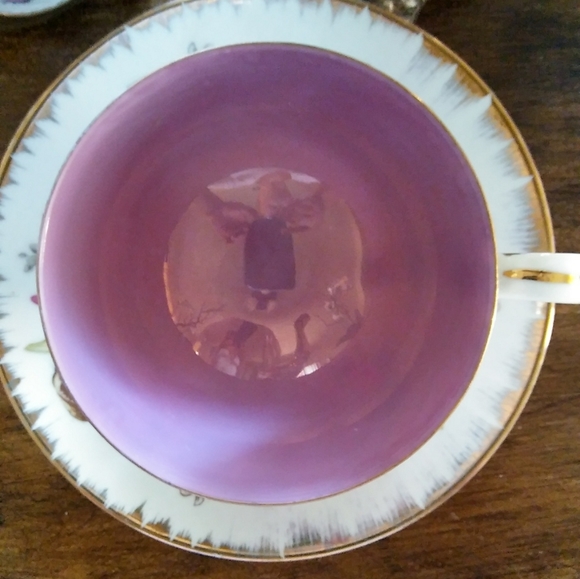 Cattleya Orchid Tea Cup Ready for Spring - Picture 6 of 8